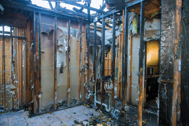 Professional Fire Damage Removal technician working in Ankeny, IA